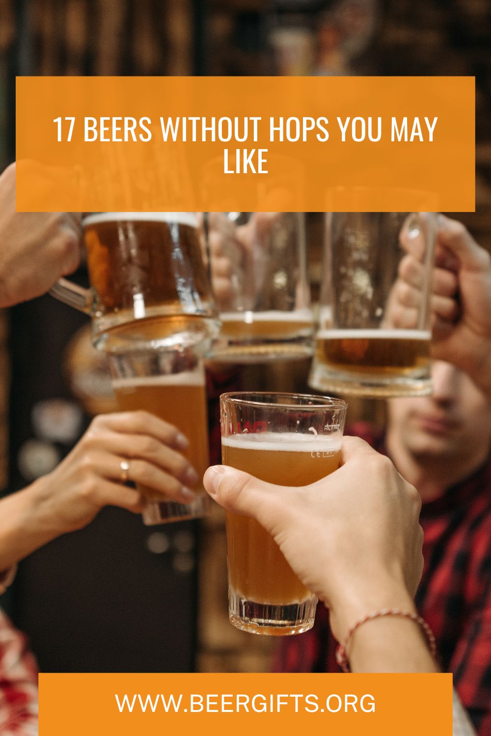 17 Beers Without Hops You May Like 1