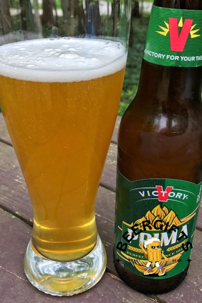 17 Beers Without Hops You May Like 14