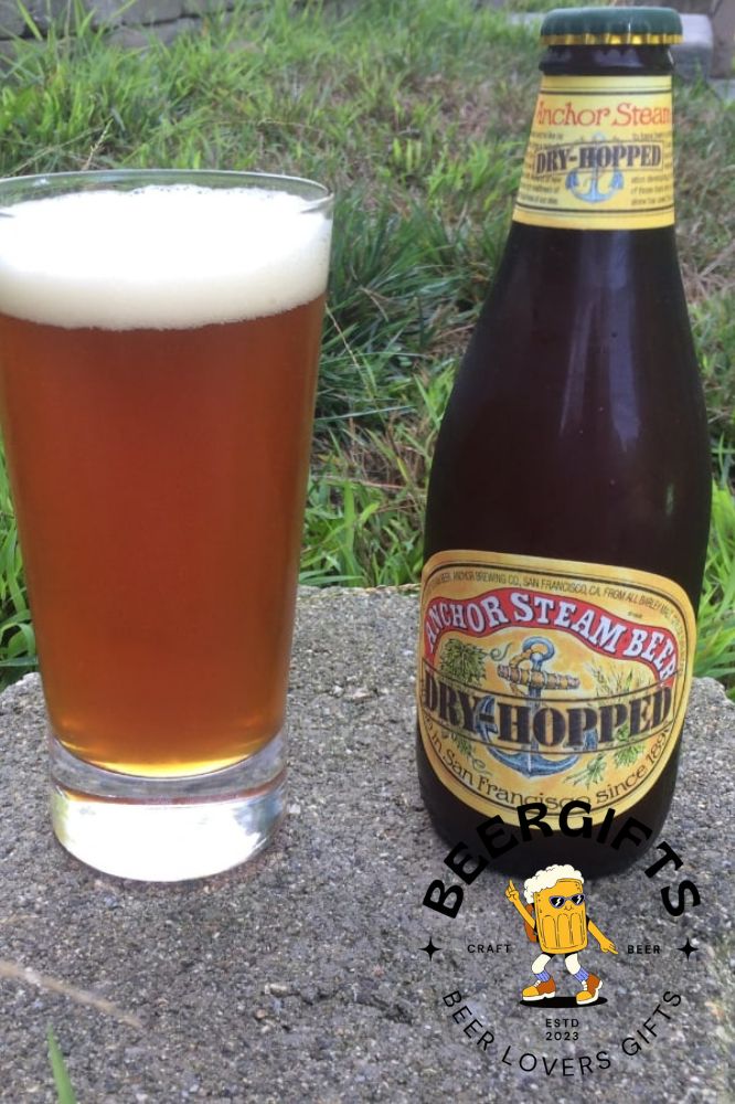17 Beers Without Hops You May Like 16