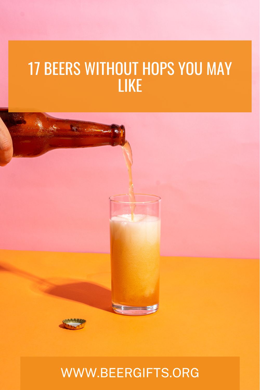 17 Beers Without Hops You May Like 20