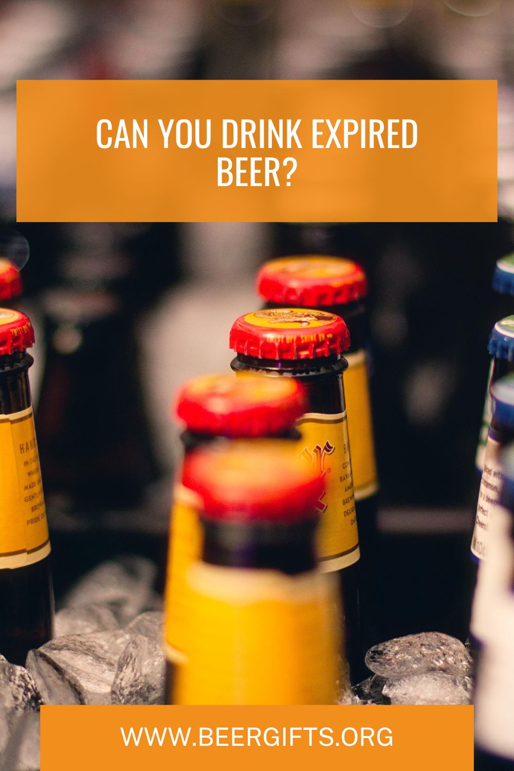 Can You Drink Expired Beer?1