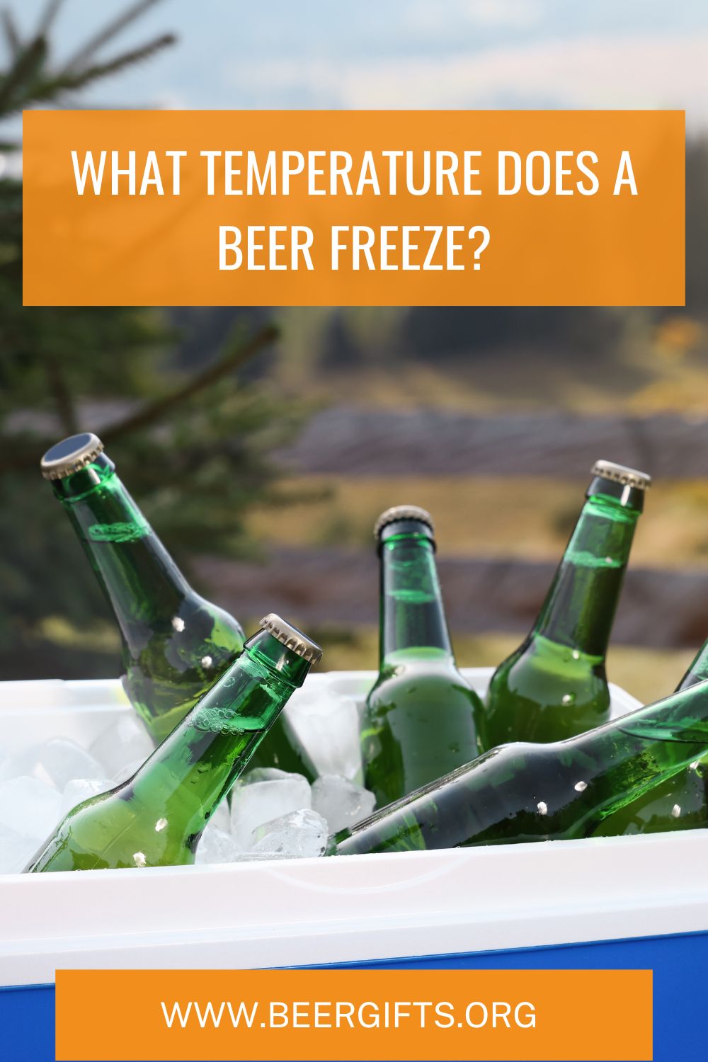 What Temperature Does a Beer Freeze?5