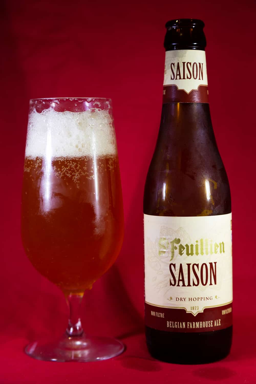 15 Best Saison Beers You May Like