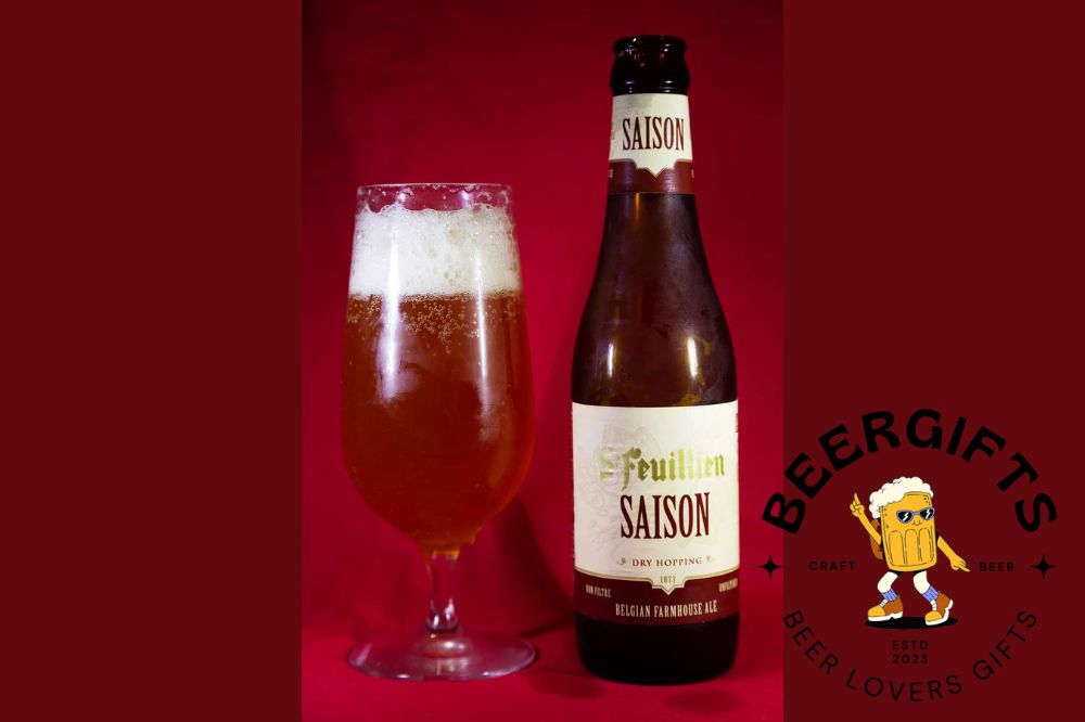 15 Best Saison Beers You May Like1