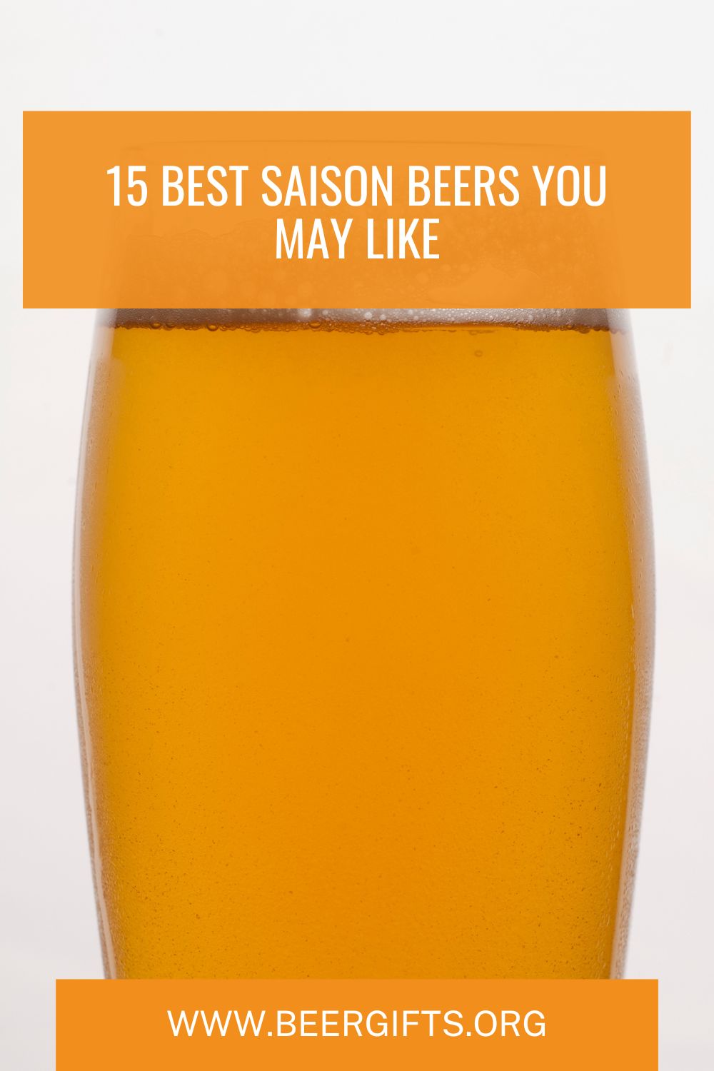 15 Best Saison Beers You May Like18