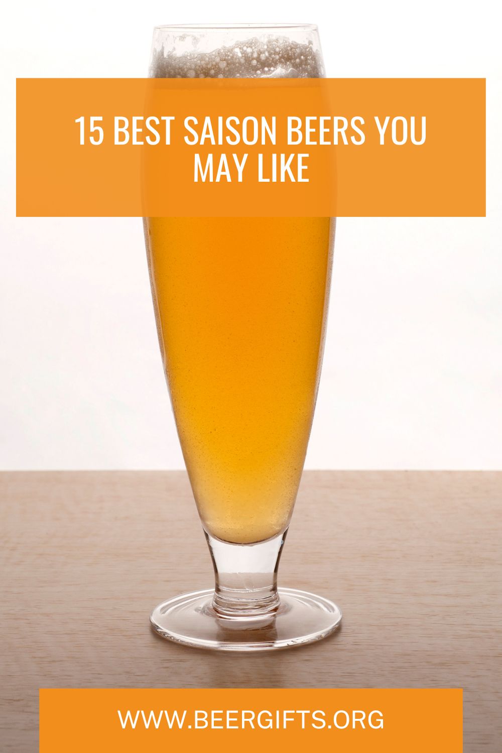 15 Best Saison Beers You May Like2