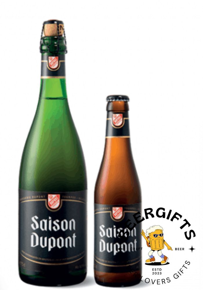 15 Best Saison Beers You May Like3