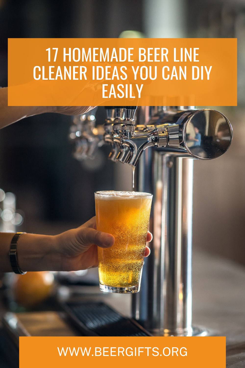 17 Homemade Beer Line Cleaner Ideas You Can DIY Easily1