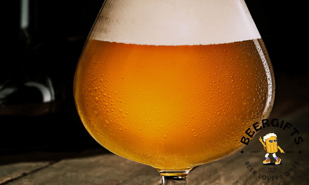 29 Common Types of Beer You May Like15