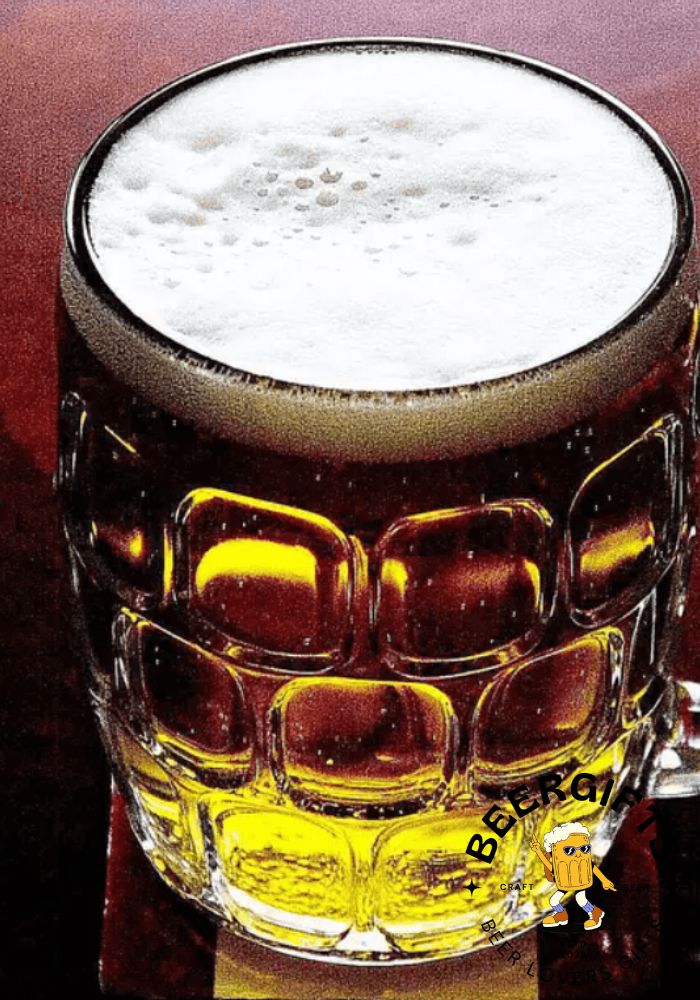 29 Common Types of Beer You May Like21