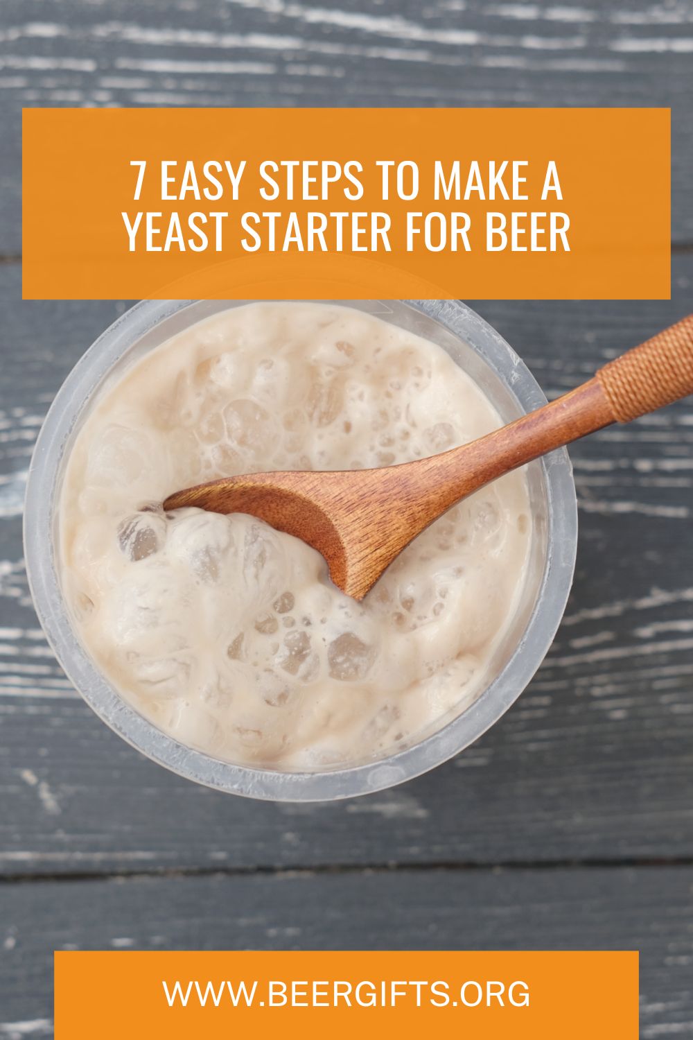 7 Easy Steps to Make a Yeast Starter for Beer1