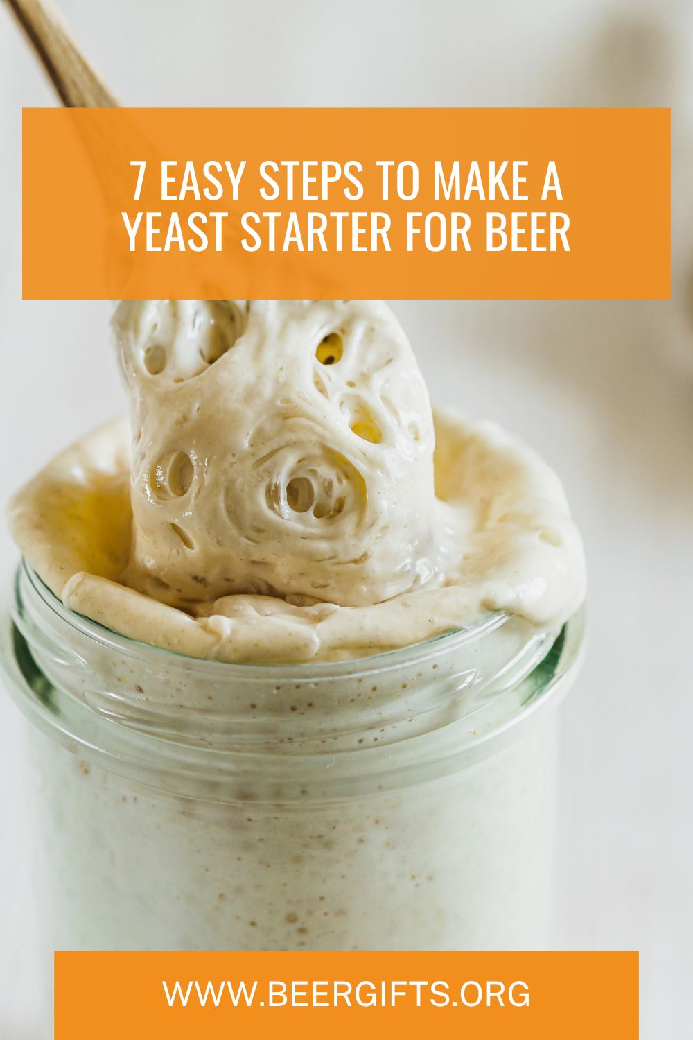 7 Easy Steps to Make a Yeast Starter for Beer9