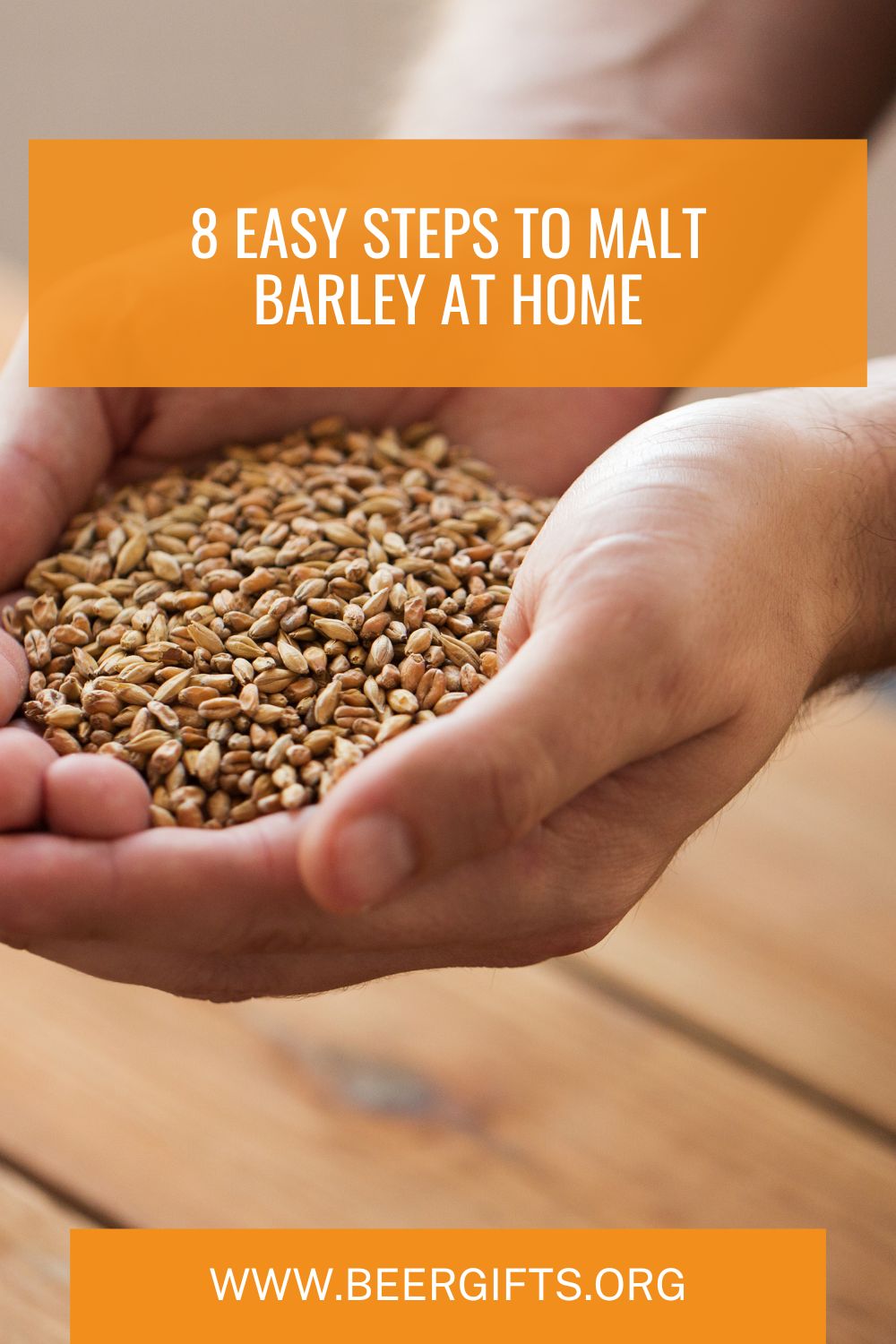 8 Easy Steps to Malt Barley at Home1