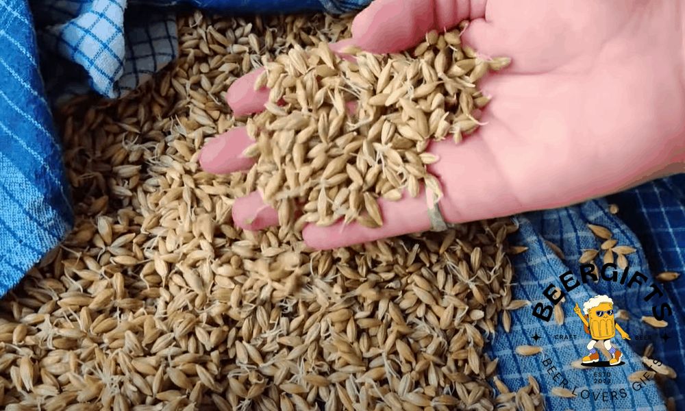 8 Easy Steps to Malt Barley at Home5