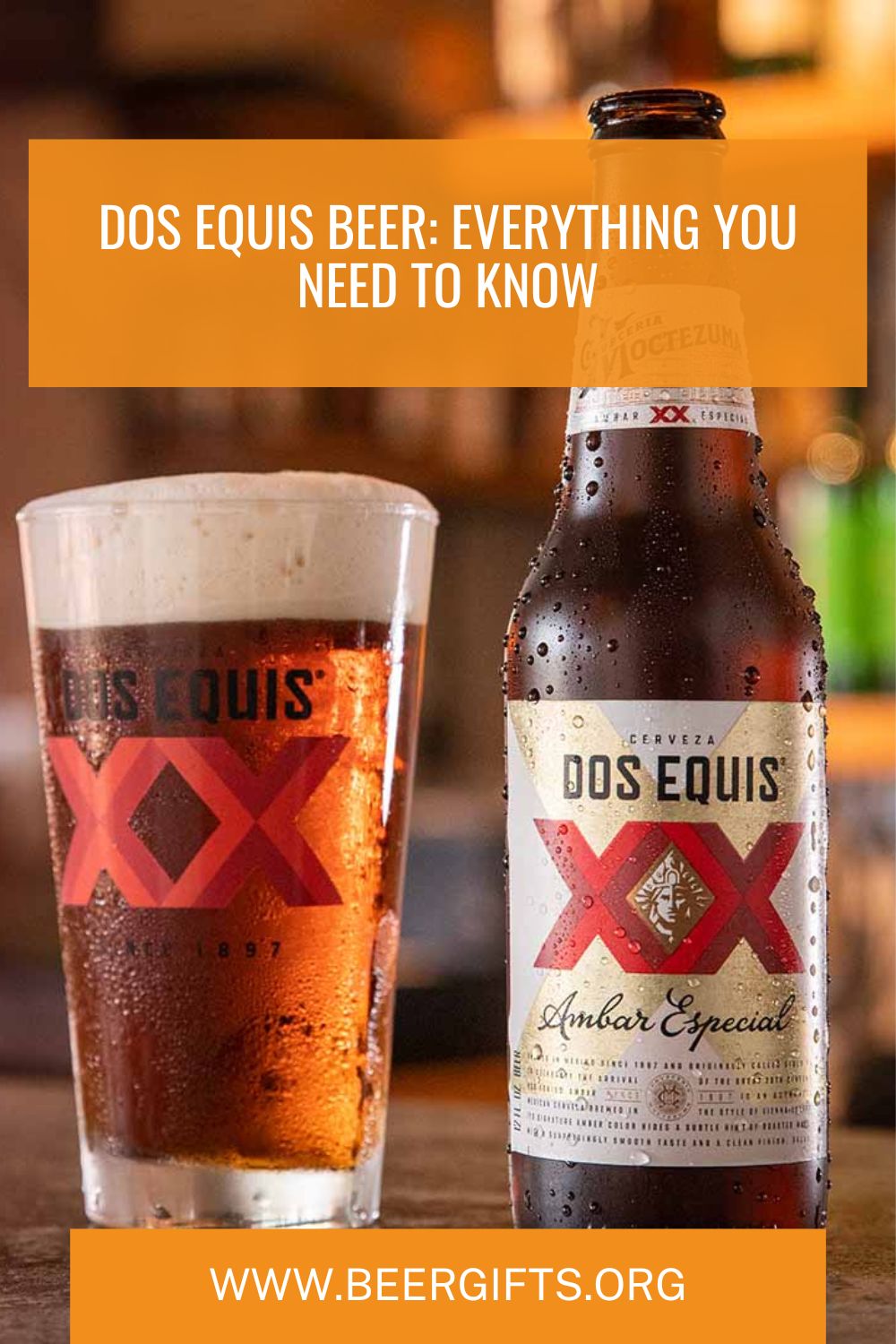 Dos Equis Beer Everything You Need to Know 1