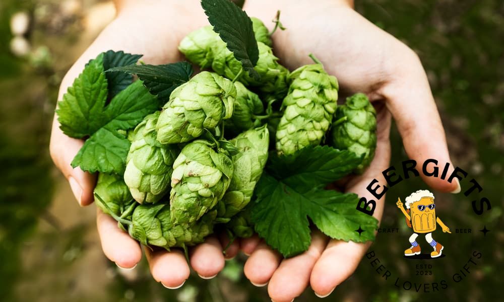How To Grow Hops? (Tips & Complete Guides)3