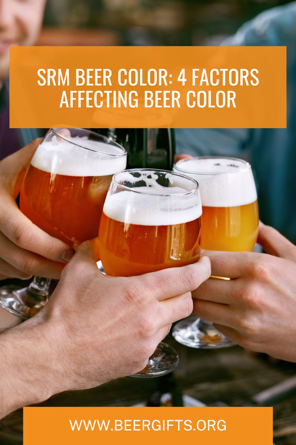 SRM Beer Color- 4 Factors Affecting Beer Color3