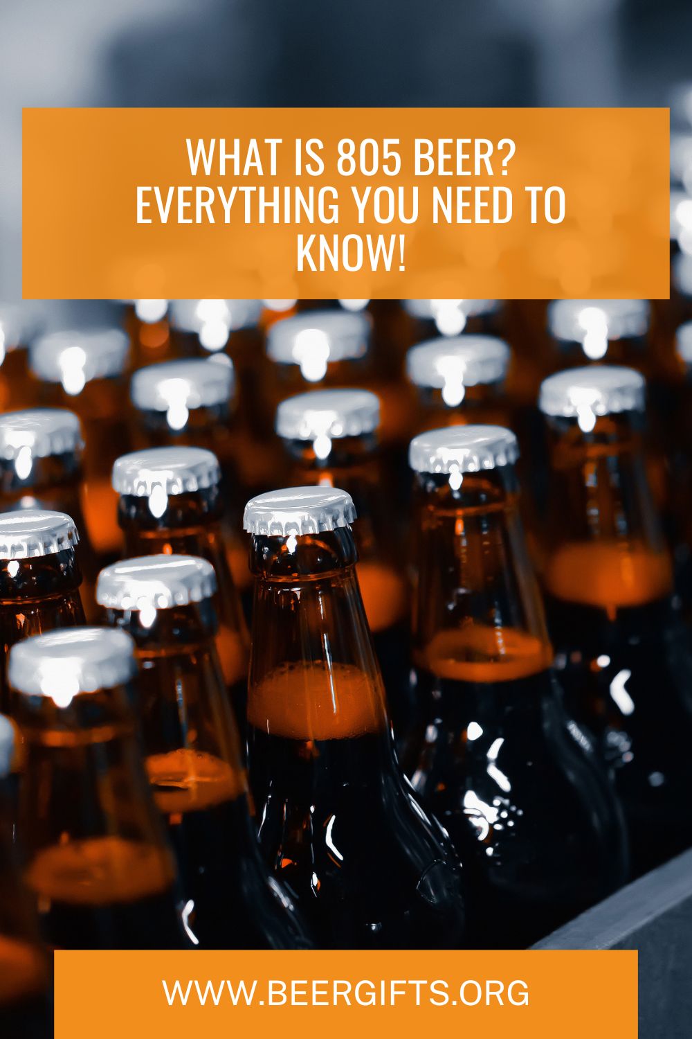 What is 805 Beer Everything You Need to Know!8