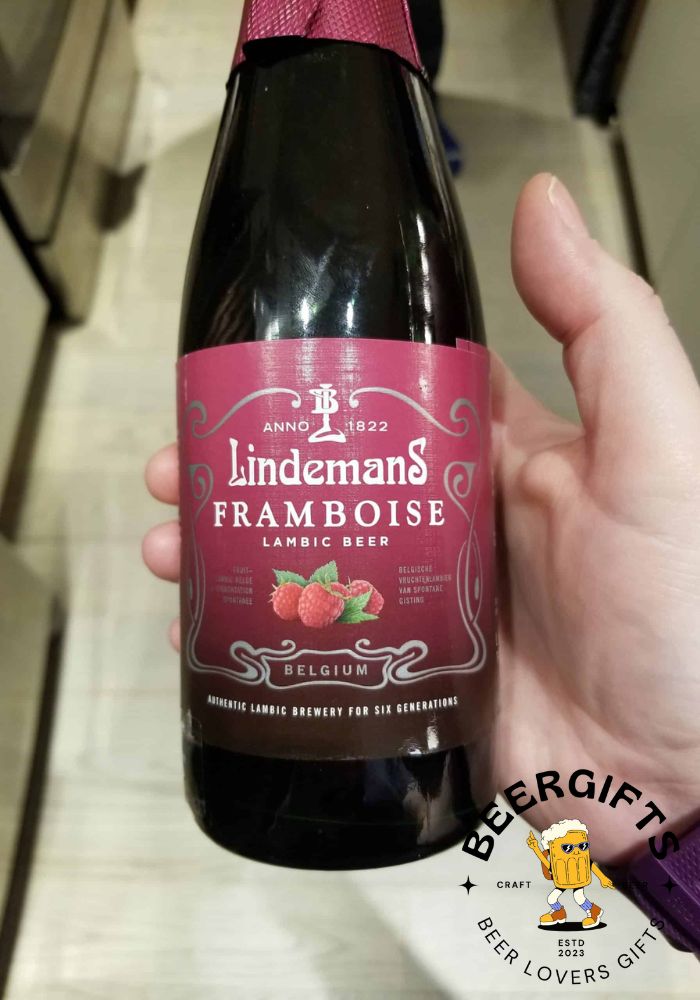 What is Lambic Beer? Everything You Need to Know!2