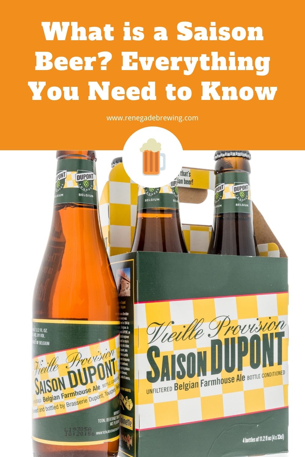 What is a Saison Beer Everything You Need to Know 1