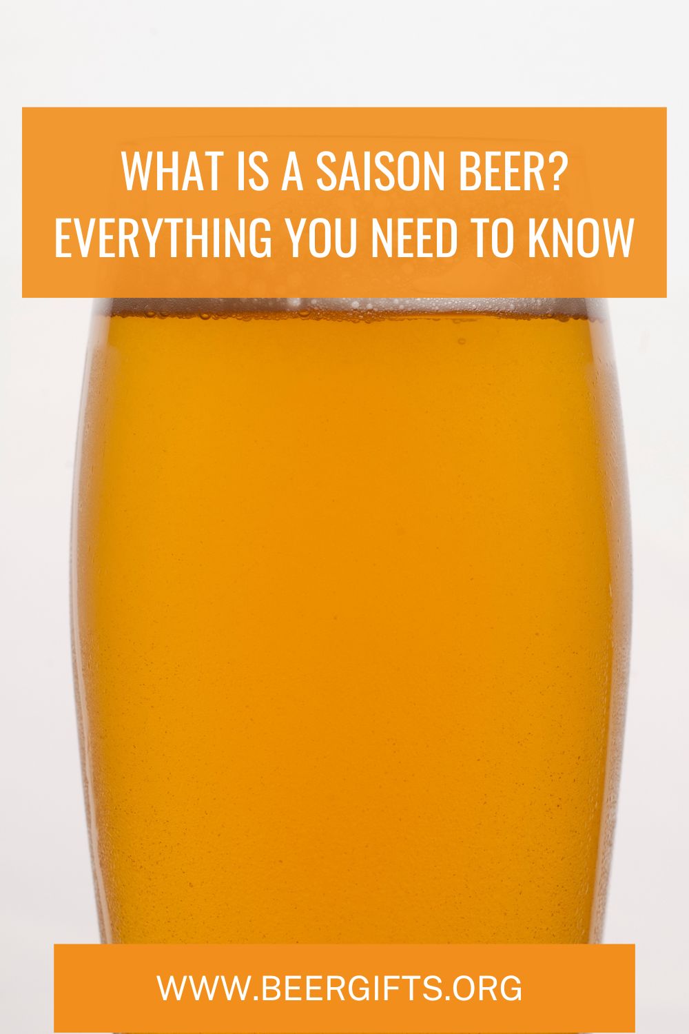 What is a Saison Beer? Everything You Need to Know5