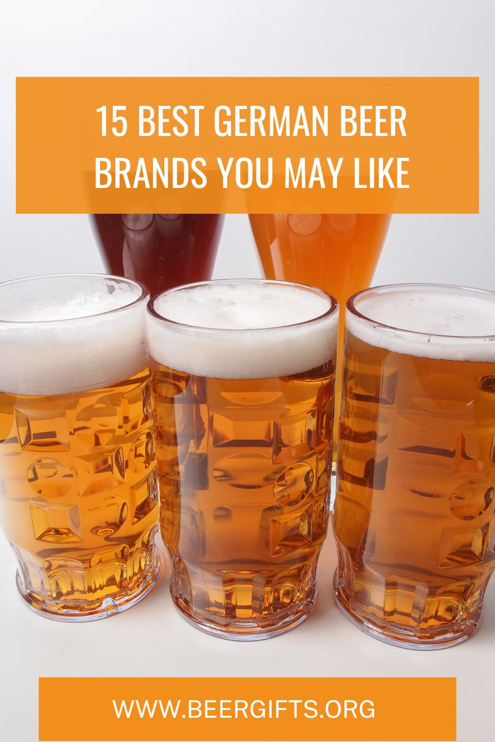 15 Best German Beer Brands You May Like18