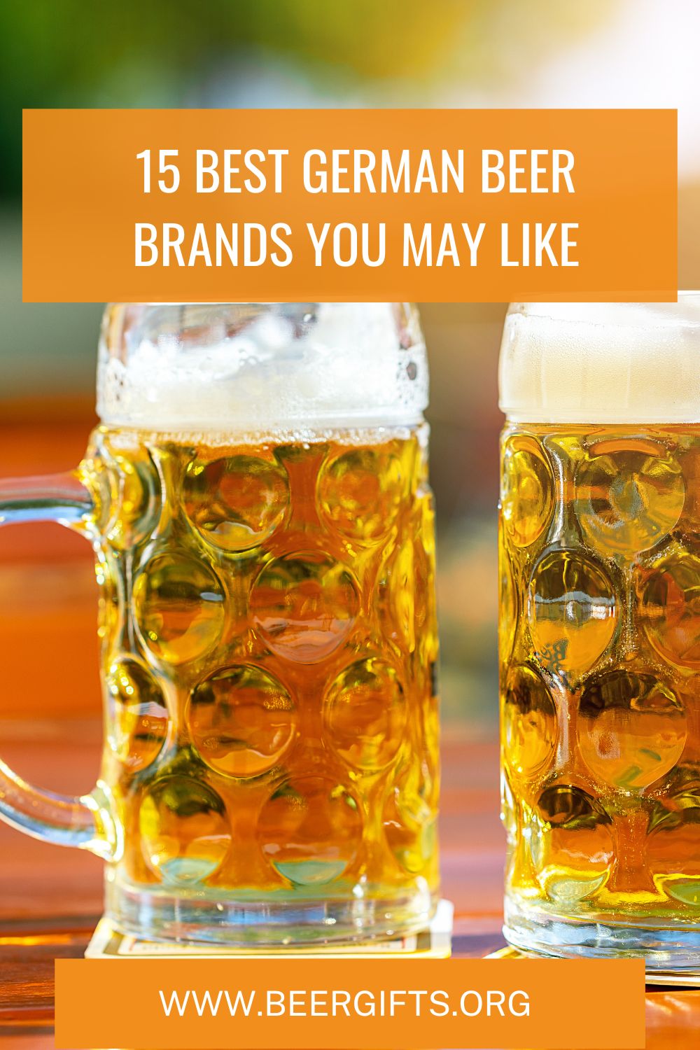15 Best German Beer Brands You May Like2