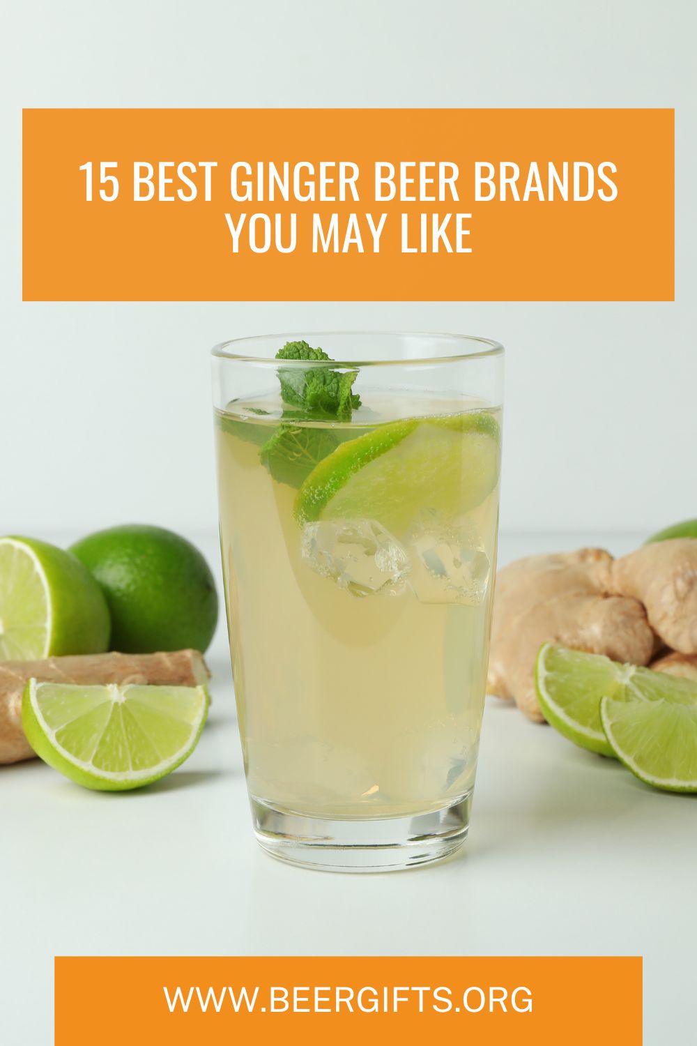 15 Best Ginger Beer Brands You May Like1