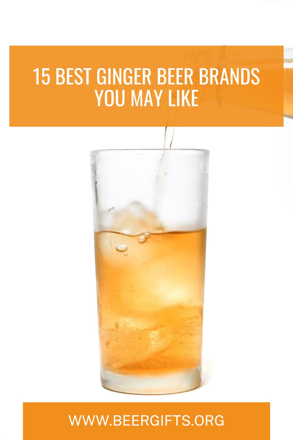 15 Best Ginger Beer Brands You May Like17