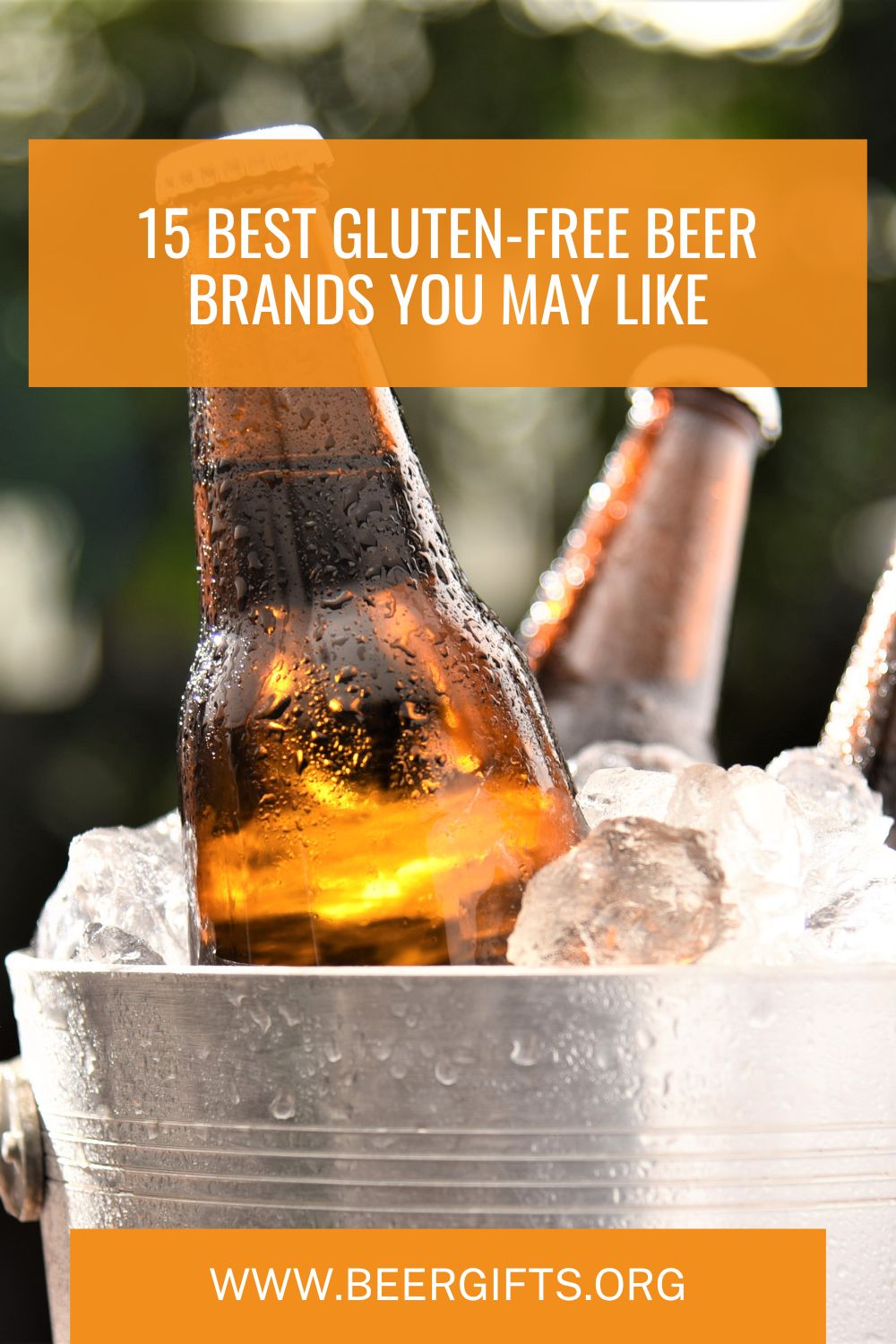15 Best Gluten-Free Beer Brands You May Like2