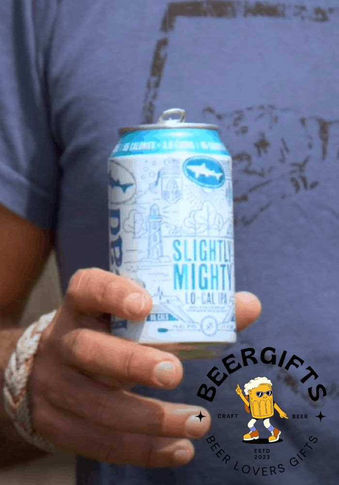 15 Best Light Beer Brands You May Like To Drink9