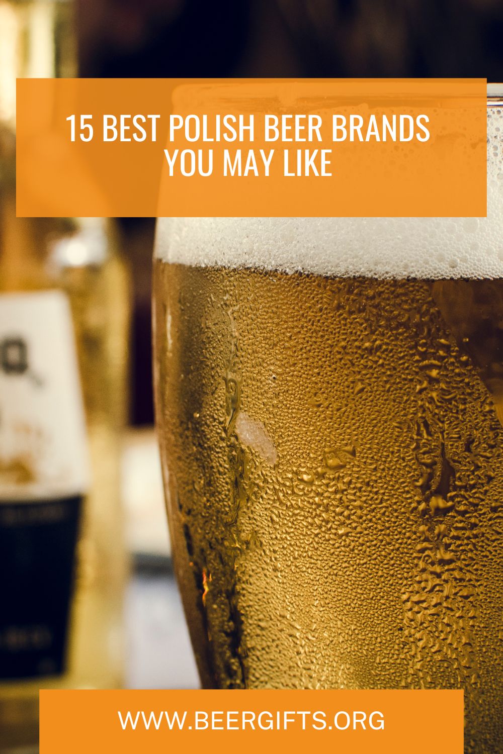 15 Best Polish Beer Brands You May Like2