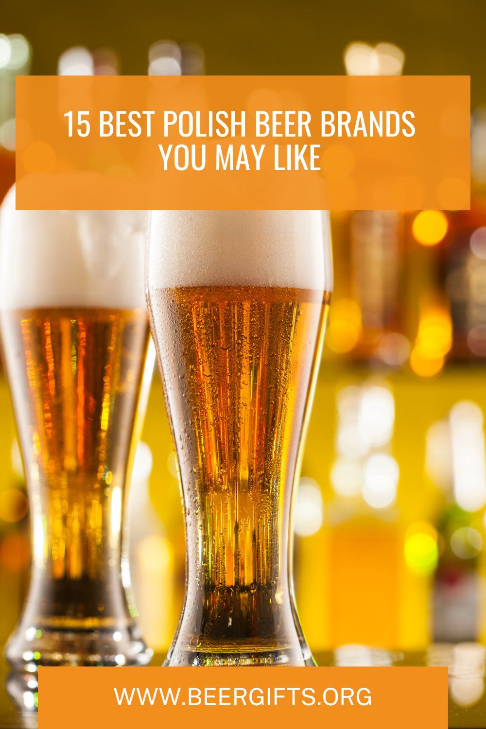 15 Best Polish Beer Brands You May Like3