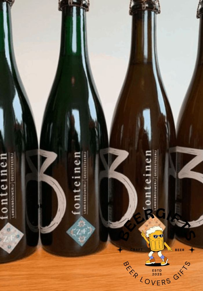 29 Best Belgian Beers You May Like15