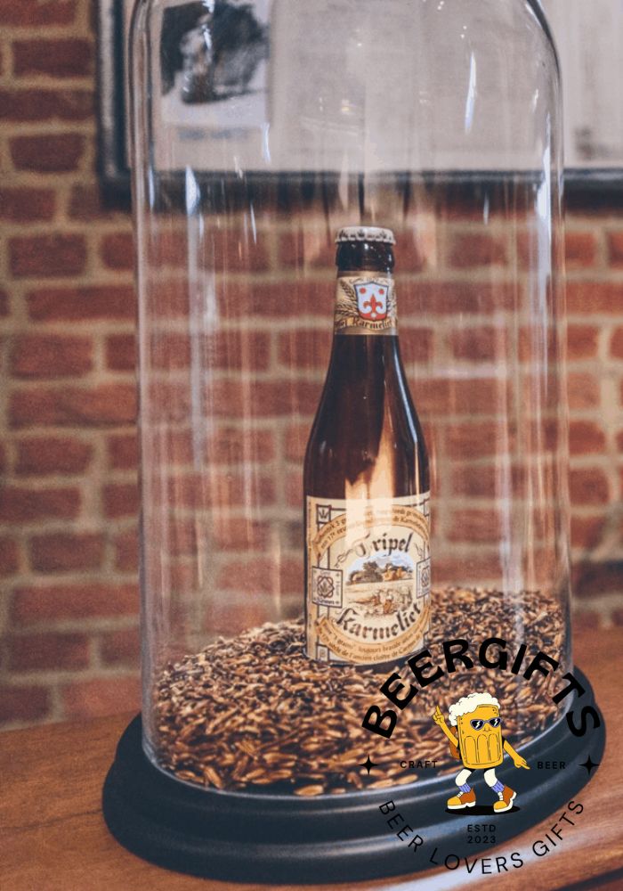 29 Best Belgian Beers You May Like18