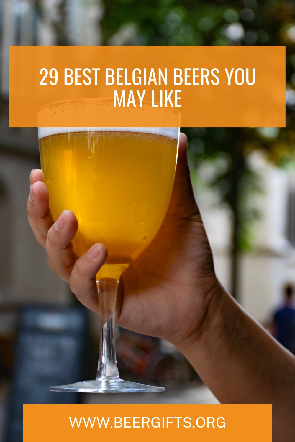 29 Best Belgian Beers You May Like2