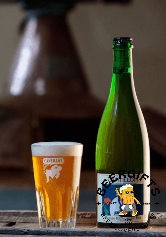 29 Best Belgian Beers You May Like28