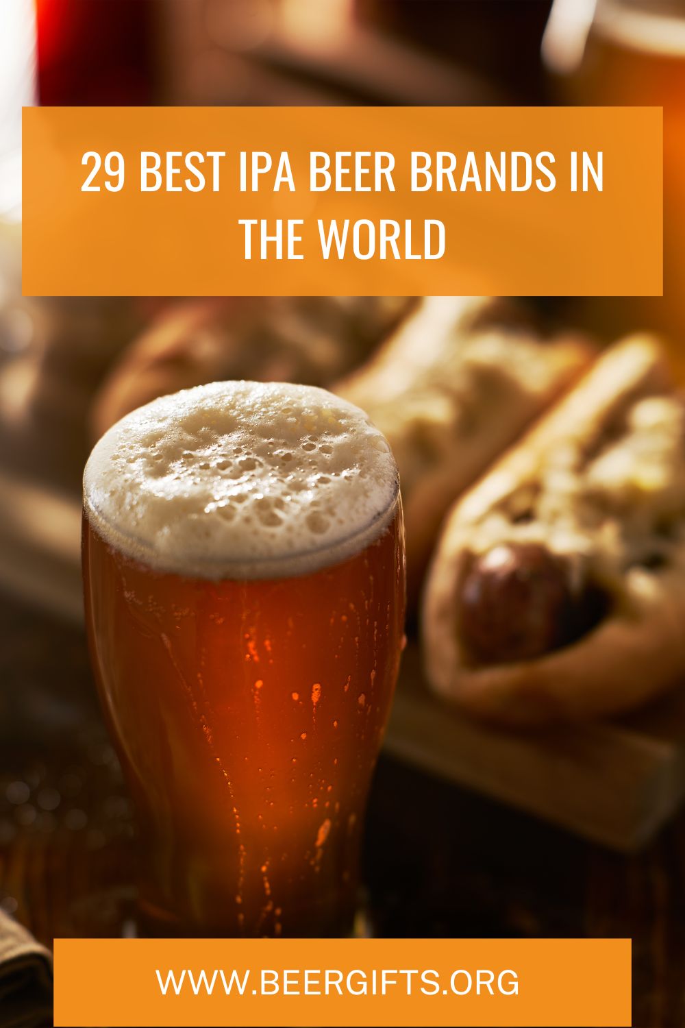 29 Best IPA Beer Brands In the World1