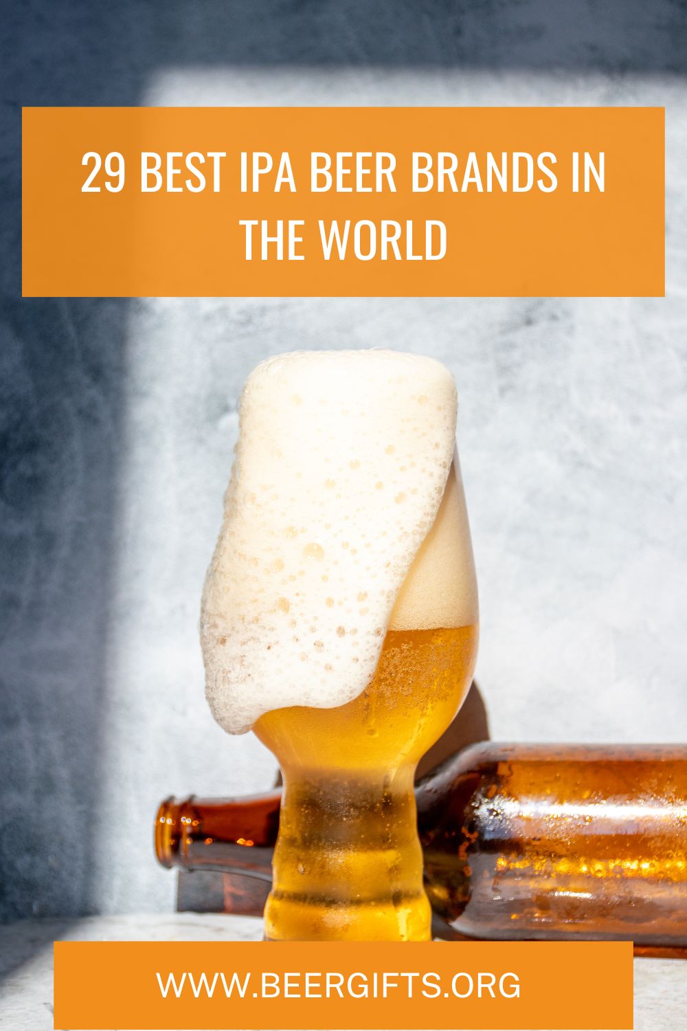 29 Best IPA Beer Brands In the World31