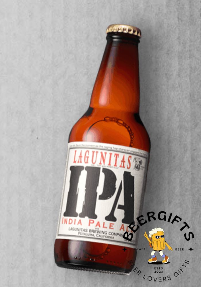 29 Best IPA Beer Brands In the World4
