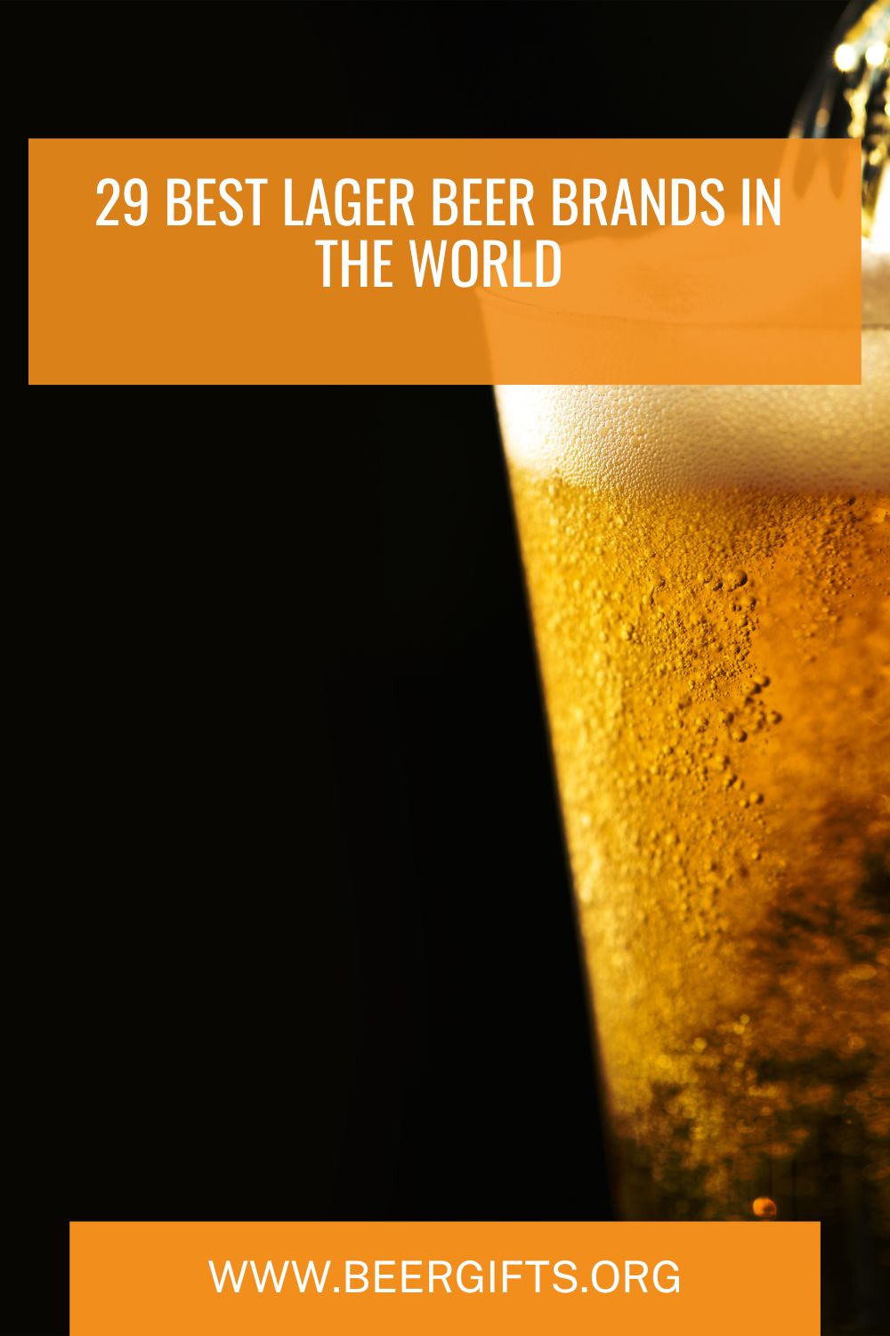 29 Best Lager Beer Brands In the World33