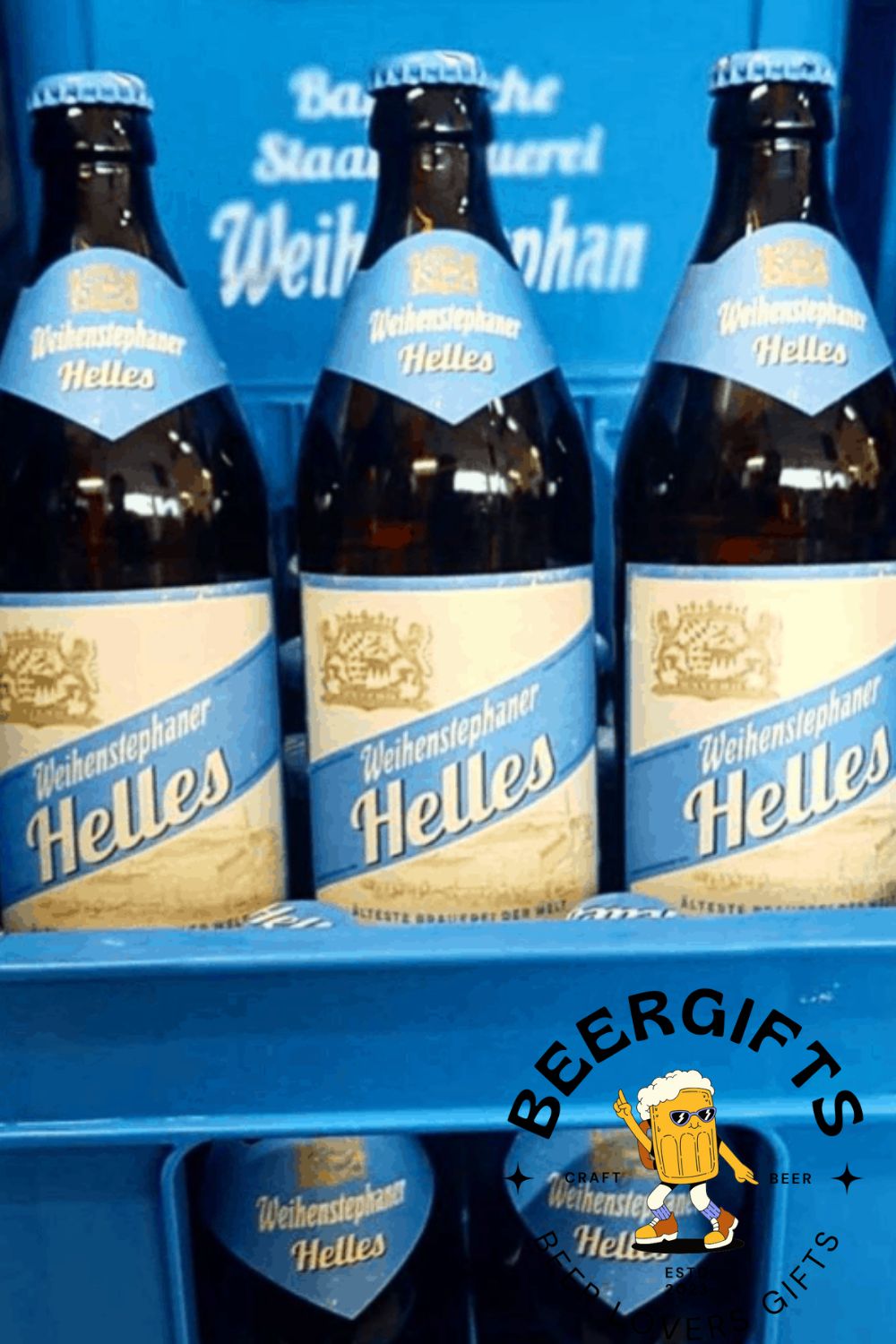 29 Best Lager Beer Brands In the World7