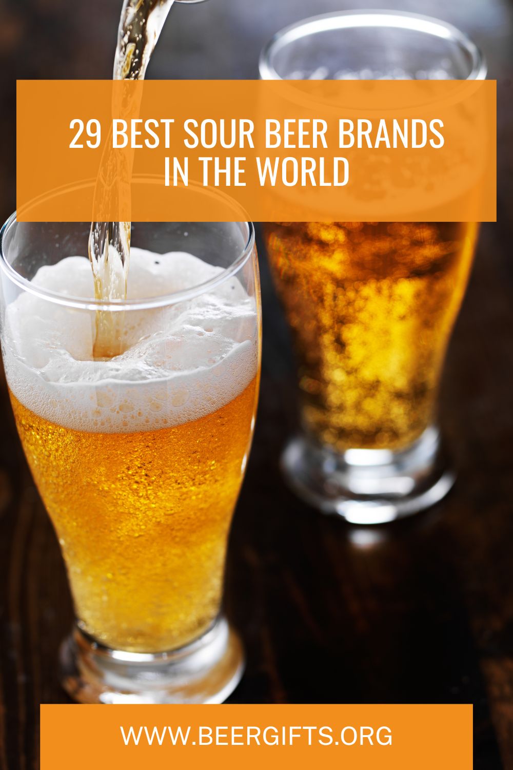 29 Best Sour Beer Brands In The World2