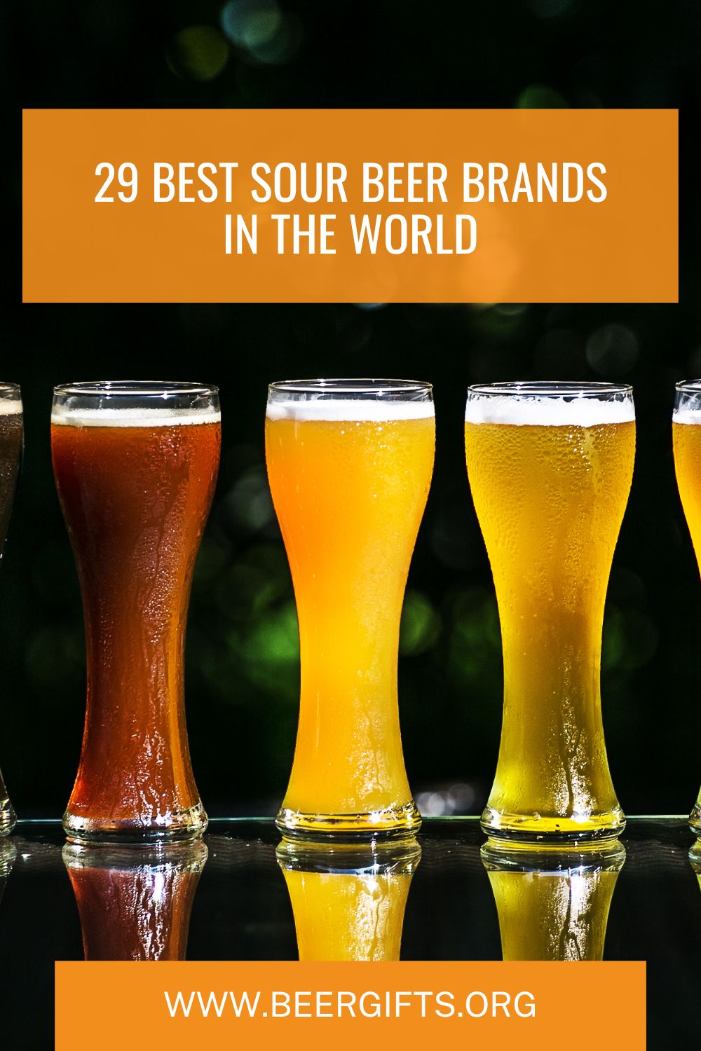29 Best Sour Beer Brands In the World32
