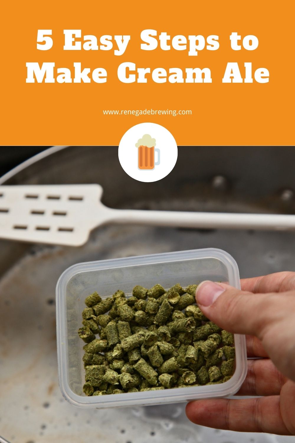 5 Easy Steps to Make Cream Ale 2