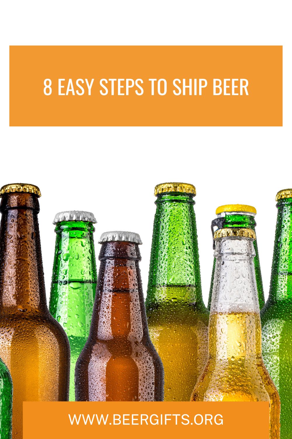 8 Easy Steps To Ship Beer8