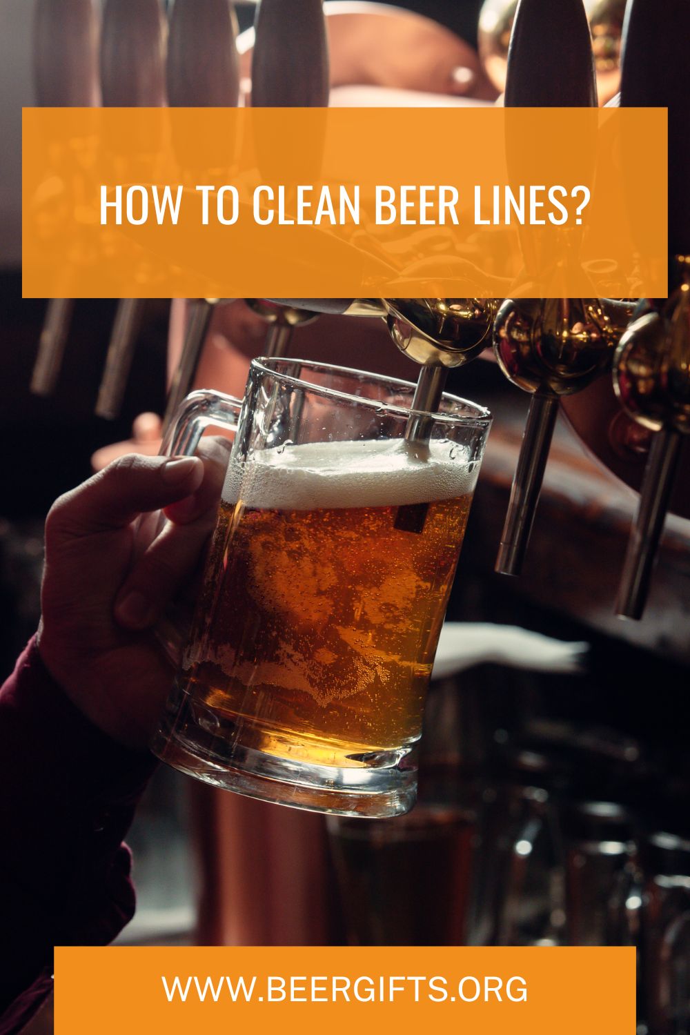 How to Clean Beer Lines7
