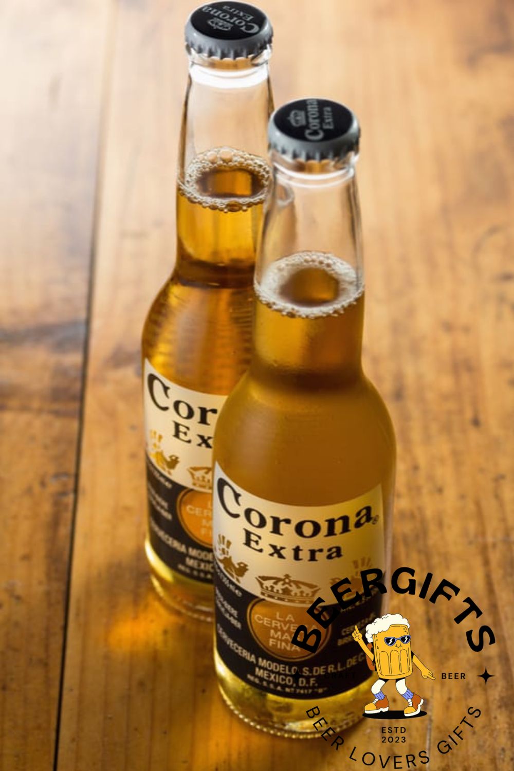 Modelo vs Corona Beer Which Tastes Better2