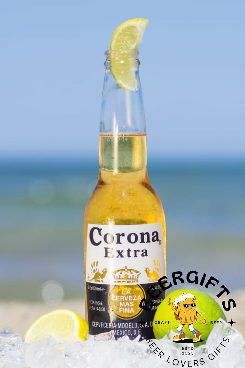 Modelo vs Corona Beer Which Tastes Better6