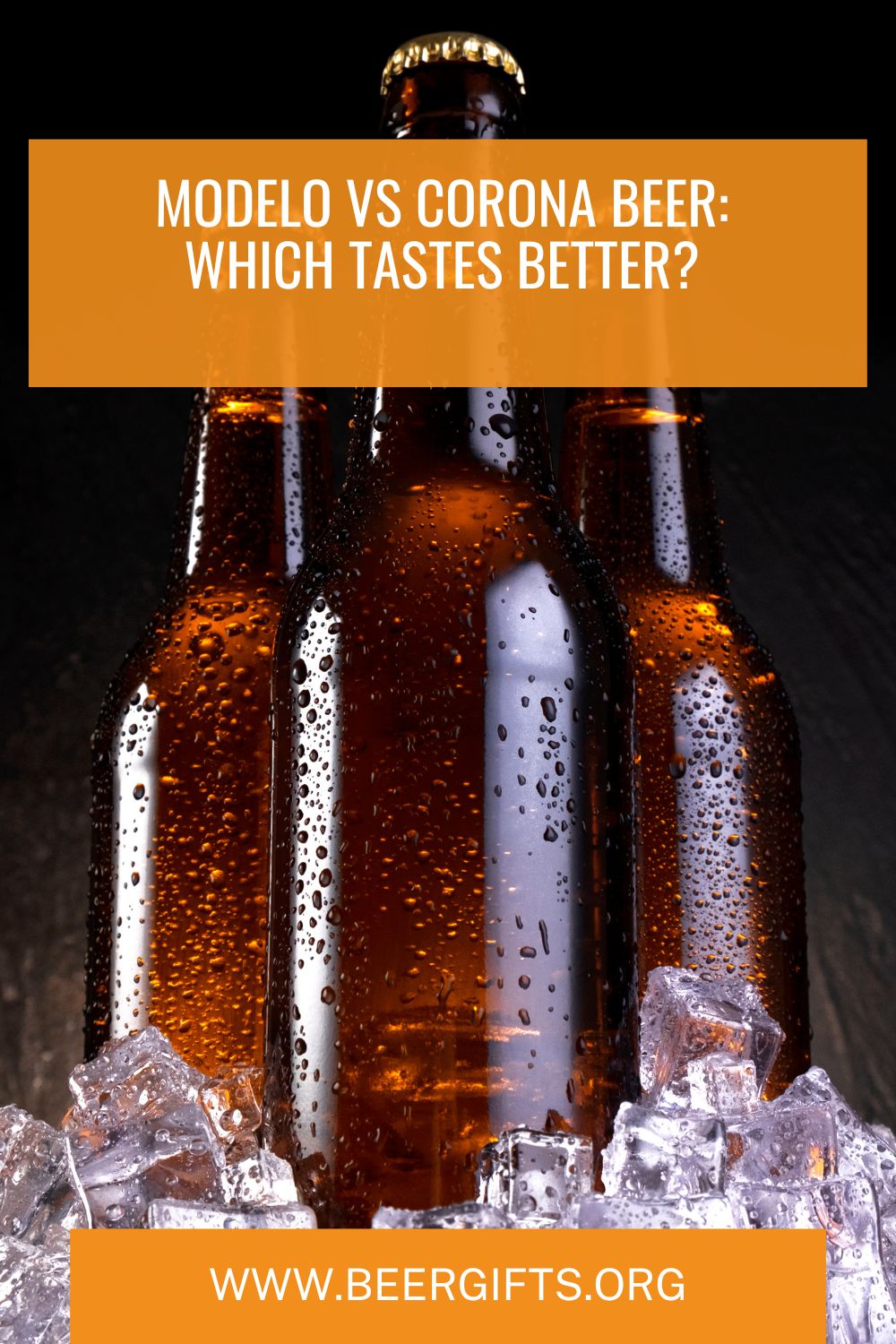 Modelo vs Corona Beer Which Tastes Better9
